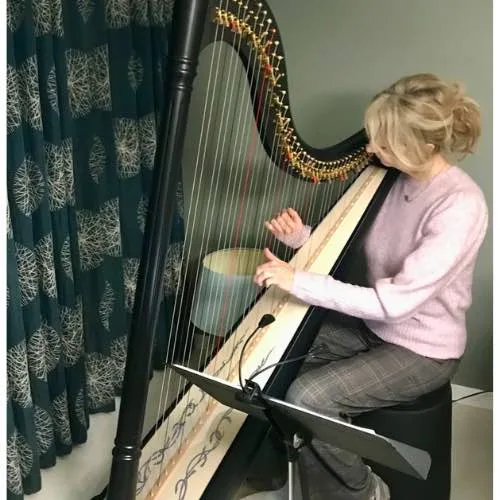 online harp leren spelen
