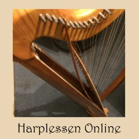 Kapotte harp zo min mogelijk beschadigingen aan je harp