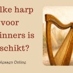 Welke harp voor beginners - Keltische harp met 34 snaren